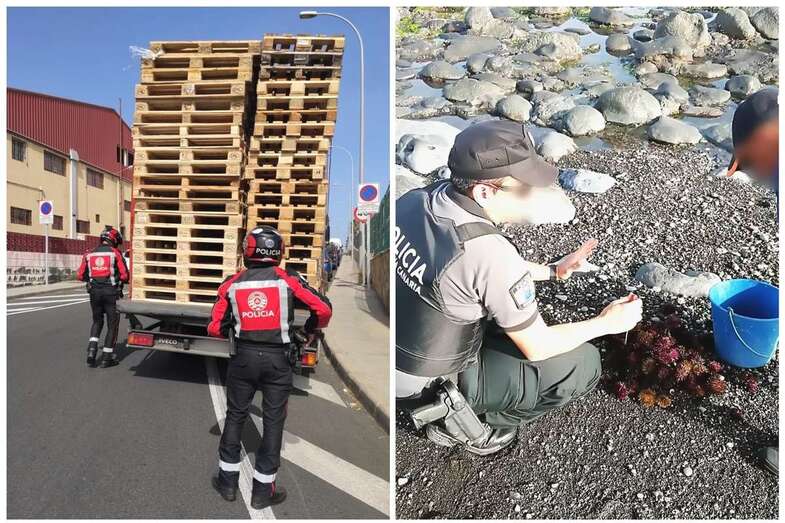 Efectivos de la Policía Canaria, este miércoles en Telde (Foto TA)